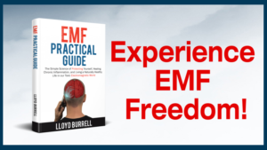 emf practical guide