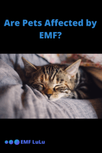 pin - EMF and Pets